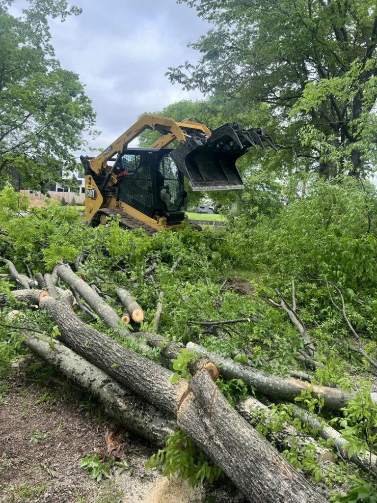 A skid steer positioned among cut tree branches and logs after tree removal by Monterroso tree service in Little Rock, AR.