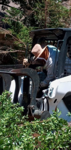 A Supreme Tree Service crew member operating a skid steer with a grapple for brush removal in Carolina Beach, NC.