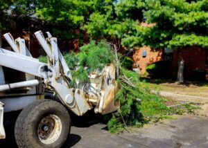A skid steer loader with a grapple attachment clearing a pile of pine branches for Rhode Island Tree Removal in Providence, RI.
