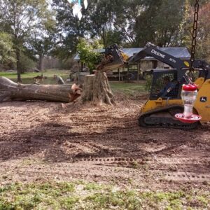 A KIRI TREE service skid steer with a grapple attachment clearing cut tree debris from around a stump in Austin, TX.
