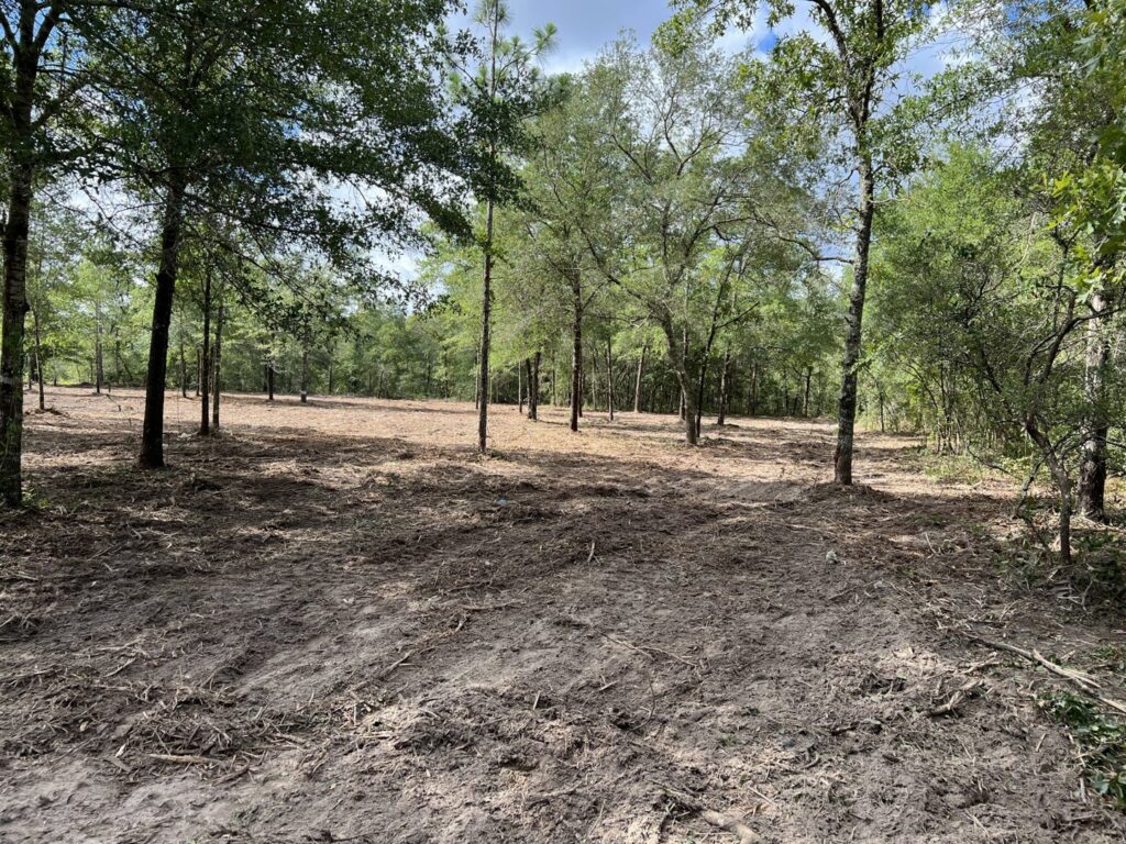 A skid steer performing land grading and site preparation in muddy terrain, a service offered by DLT Land Management in Tampa, FL.
