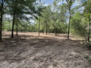 A skid steer performing land grading and site preparation in muddy terrain, a service offered by DLT Land Management in Tampa, FL.