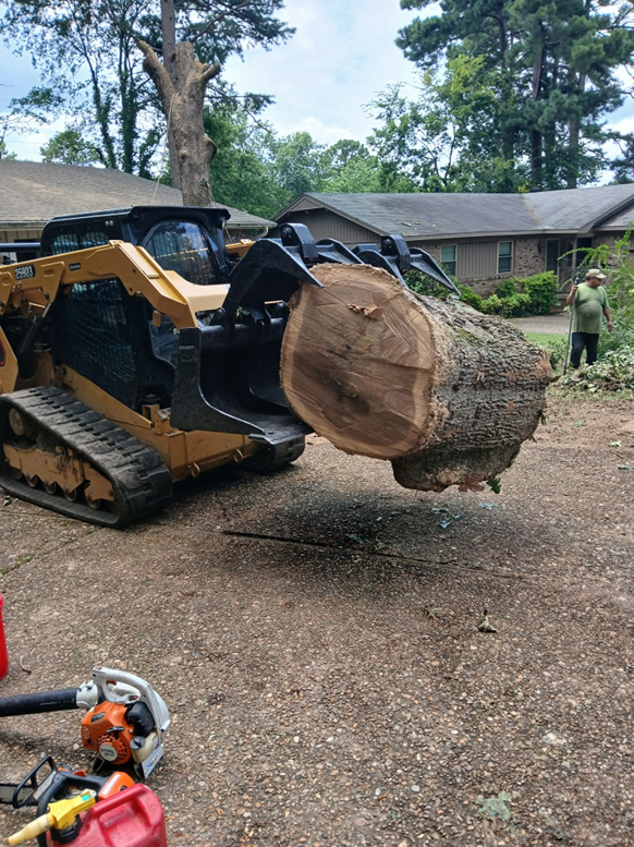 A skid steer lifting a large tree trunk section during a tree removal job by Monterroso tree service in Little Rock, AR.