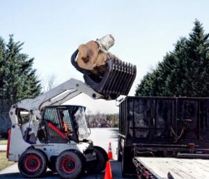 A skid steer loader moving a large tree trunk section into a dump truck for removal by Pittsburgh Tree Trimming & Removal Service in Pittsburgh, PA.