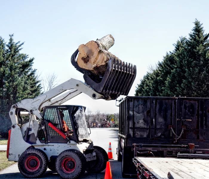 A skid steer loader moving a large tree trunk section into a dump truck for removal by Pittsburgh Tree Trimming & Removal Service in Pittsburgh, PA.