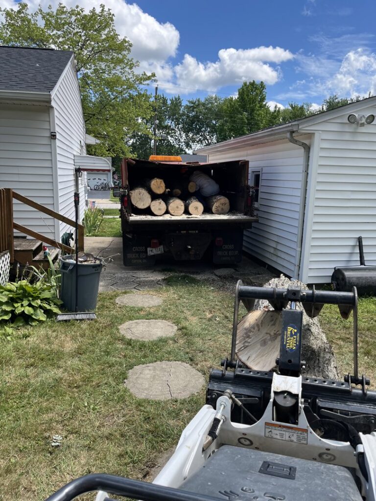 A skid steer loading cut logs into a dump truck, demonstrating debris removal services by Collier Lawn & Tree in Akron, OH.