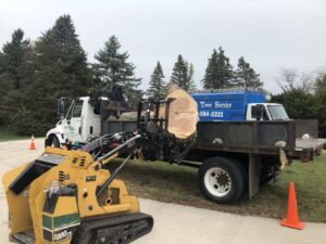 A Vermeer S800TX skid steer loading large tree logs onto a flatbed truck after a tree removal service by Skyline Tree Service and Landscaping Inc. in Saint Charles, IL.