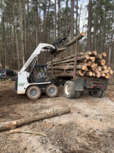A skid steer loading cut logs onto a logging truck for removal by 706 Tree and Stump in Augusta, GA.