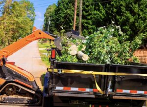 A skid steer loading tree branches and debris into a trailer, demonstrating tree service work by BA Robinson Tree Service in Saint George, UT.