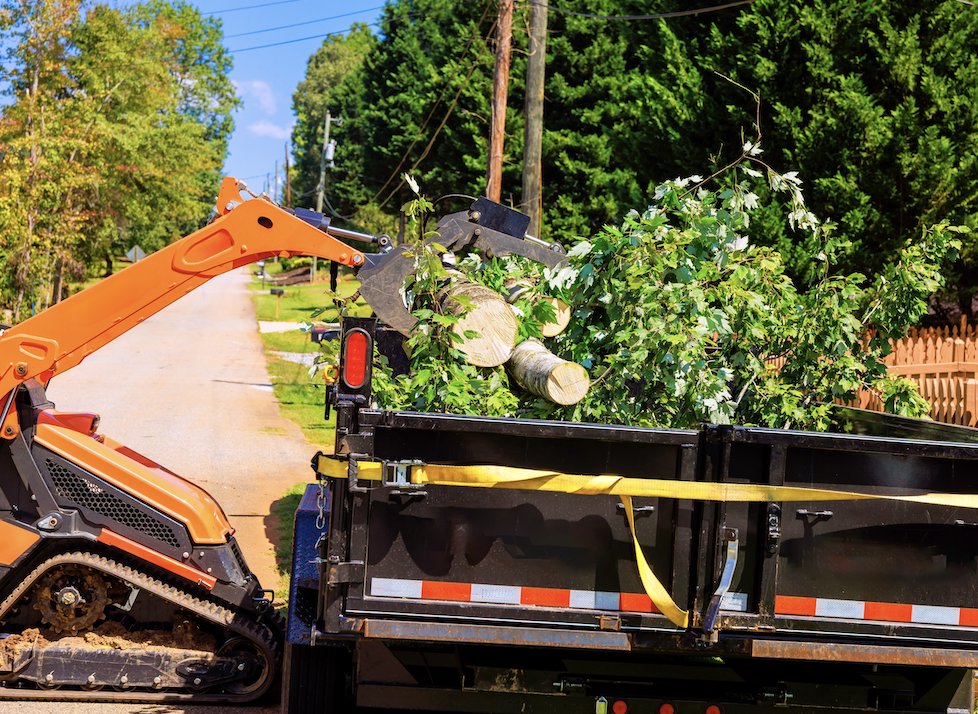 A skid steer loading tree branches and debris into a trailer, demonstrating tree service work by BA Robinson Tree Service in Saint George, UT.
