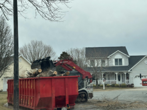 A skid steer loads cut tree branches and debris into a dumpster during cleanup by Robert Burk Tree & Landscaping LLC in Milford, DE.