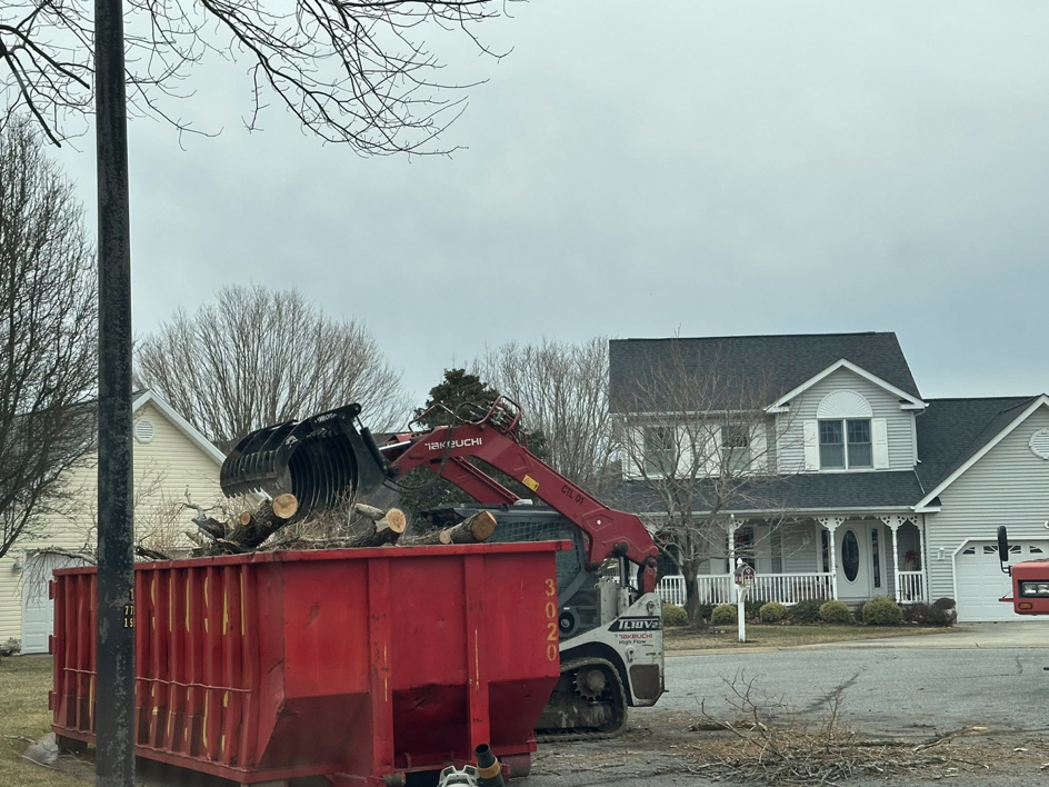 A skid steer loads cut tree branches and debris into a dumpster during cleanup by Robert Burk Tree & Landscaping LLC in Milford, DE.