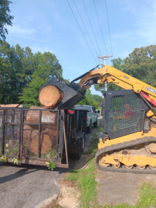 A skid steer loading cut tree logs into a trailer for disposal by Monterroso tree service in Little Rock, AR.