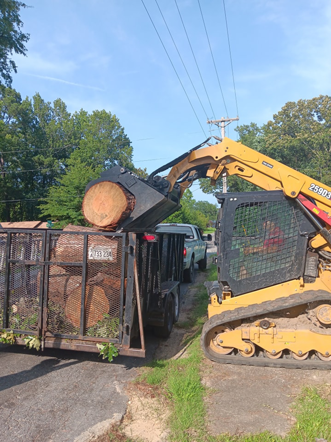 A skid steer loading cut tree logs into a trailer for disposal by Monterroso tree service in Little Rock, AR.