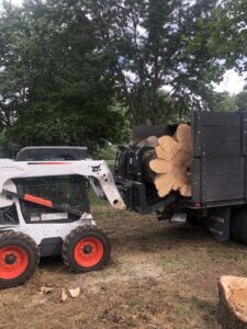 A skid steer loader loading a large tree trunk section into a dump truck during a tree removal job by Superior Tree and Stump LLC in Topeka, KS.