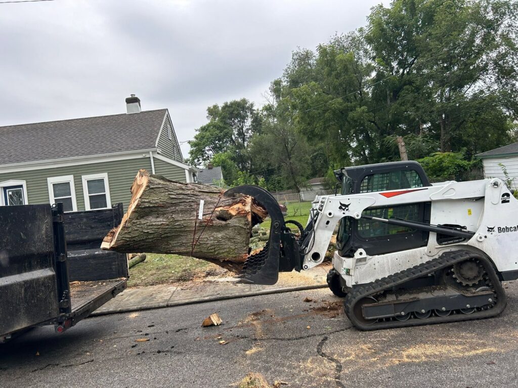 A skid steer with a grapple attachment loading a large tree trunk onto a trailer during a tree removal job by Raptors Tree Service LLC in Hammond, IN.