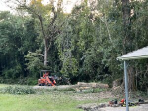 An orange skid steer with a grapple attachment moving logs after tree removal by Solid Ground Tree & Property Services LLC in Dothan, AL.