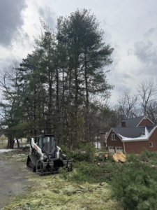 A skid steer loader moving cut tree sections and debris at a job site for B&D Tree Service and Landscaping in Dallas, TX.
