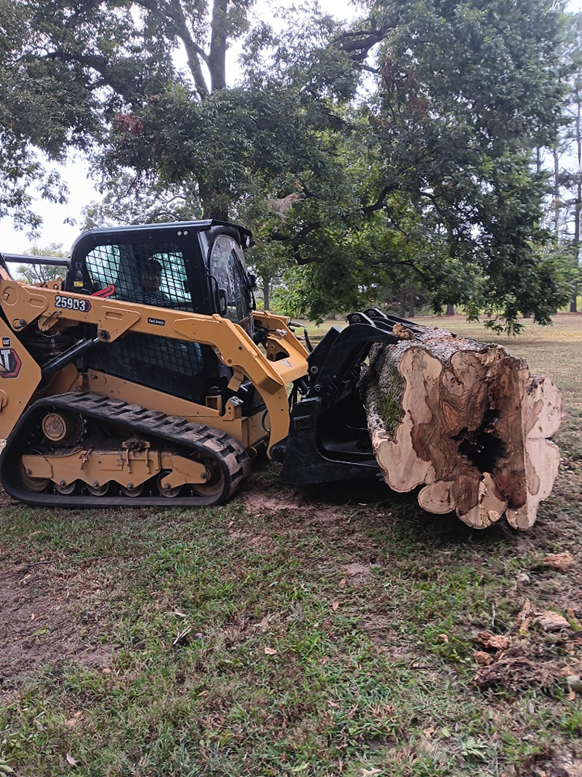 A skid steer moving a large, hollow tree trunk section on a grassy area for Monterroso tree service in Little Rock, AR.