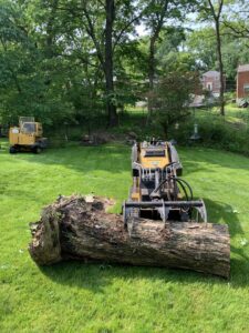 A skid steer with a grapple attachment moving a large log for 20/20 Landscaping and Tree Service in Pittsburgh, PA.