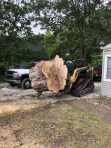 A skid steer loader with a grapple attachment moving a large section of a tree trunk for Superior Tree and Stump LLC in Topeka, KS.