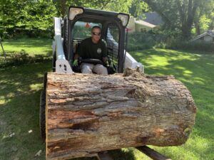 A tree service worker operating a skid steer loader to move a large tree log for South "O" Tree and Stump in Omaha, NE.