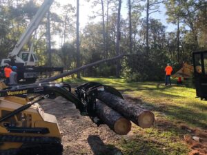 A skid steer moving logs with a grapple attachment during a tree removal project by Blaze Tree Service Inc in Orlando, FL