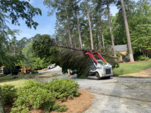 A skid steer with a grapple attachment moving large tree debris, with a wood chipper in the background, by Infinity Tree Service in Augusta, GA.