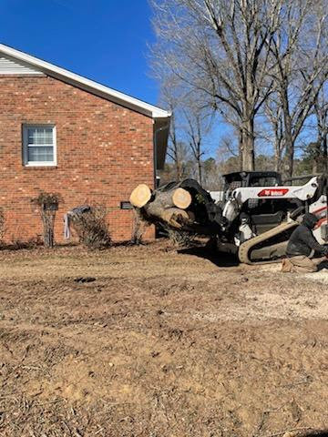 A skid steer efficiently moving a large tree trunk during a tree removal project by Triad Tree Removal LLC in Greensboro, NC.