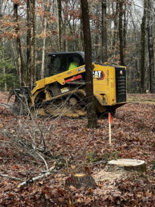 A yellow skid steer loader used for tree removal and land clearing by Apex Tree Service in Murfreesboro, TN.