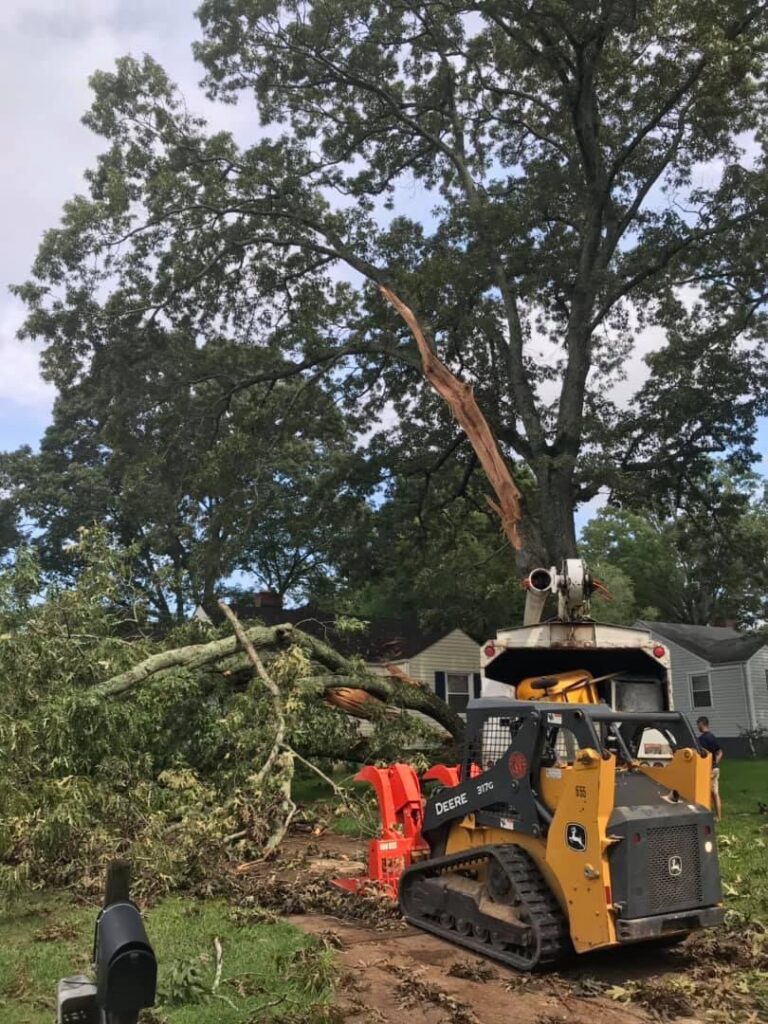 A skid steer with a wood chipper attachment efficiently processing tree branches during a cleanup by Wallace Tree Service in Russellville, AL.