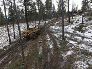 A skidder machine moving logs uphill on a cleared, snowy path in a forest for Martelli Forestry in Anaconda, MT.