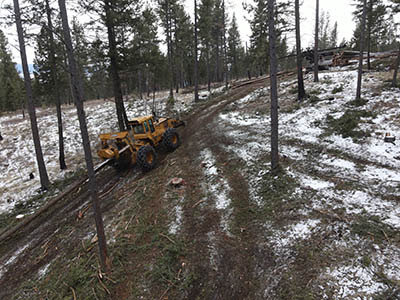 A skidder machine moving logs uphill on a cleared, snowy path in a forest for Martelli Forestry in Anaconda, MT.