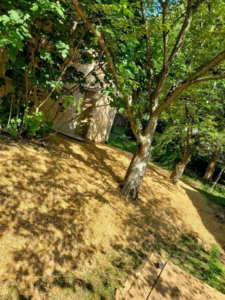 A sloped yard covered with straw for erosion control or seeding by JDS Home Improvement in Gaithersburg, MD.
