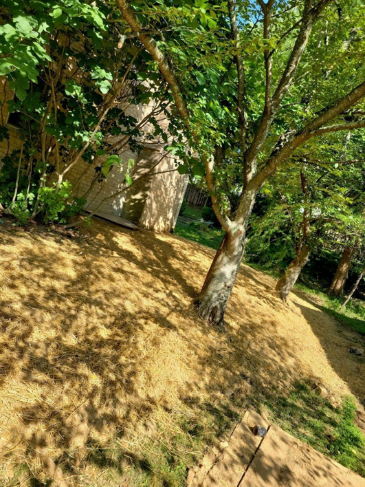 A sloped yard covered with straw for erosion control or seeding by JDS Home Improvement in Gaithersburg, MD.