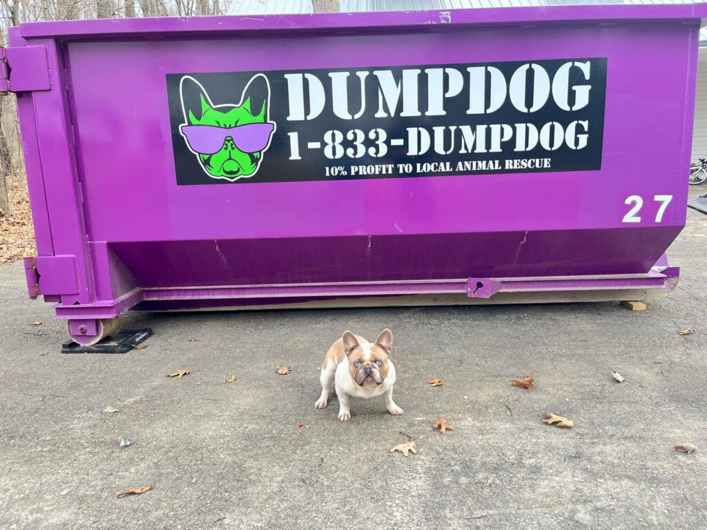 A small dog sitting in front of a DumpDog purple dumpster on a residential property for junk removal in Flint, MI.