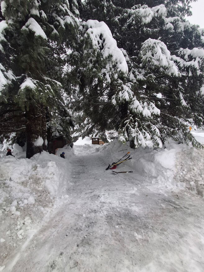 A well-cleared snow path winding through trees, showcasing snow removal by Palma Construction in Paramus, NJ.