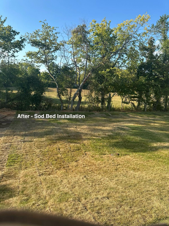 A newly installed sod lawn, a completed landscaping project by Bassel Construction Services & Rentals in Bowling Green, KY.