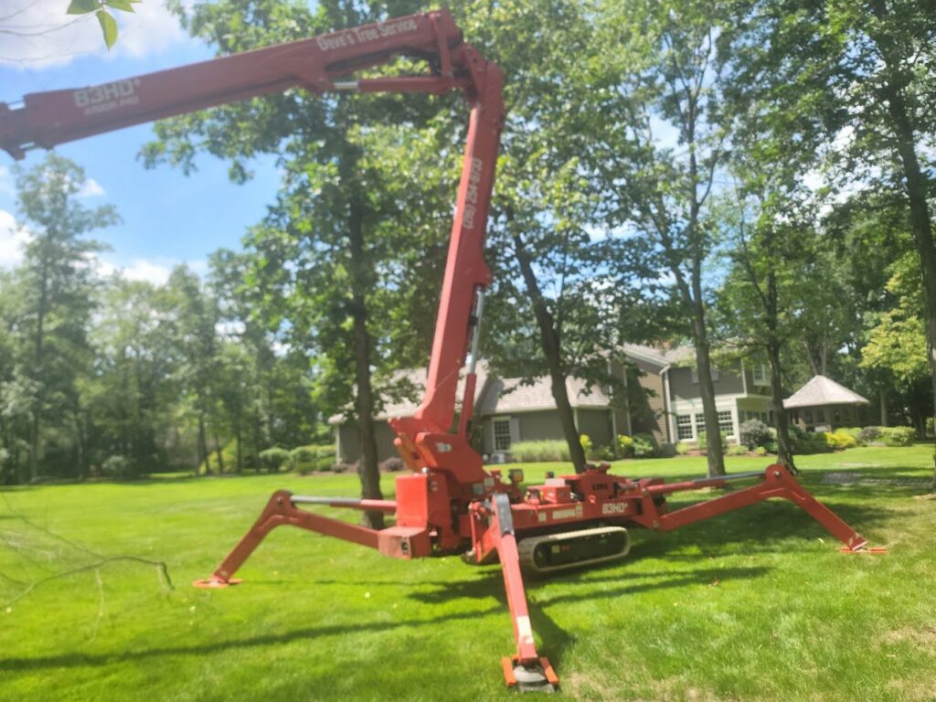 A red spider lift (arbor pro) with 'Dave's Tree Service' visible, parked on a green lawn in Parma, OH.