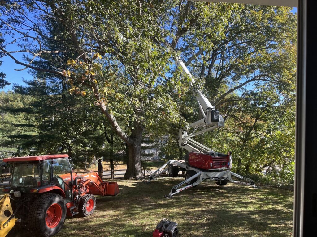 A spider lift and tractor positioned for tree trimming or removal services by Mike's Professional Tree Service in Coventry, RI.