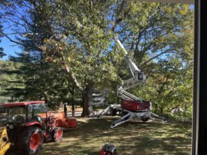 A spider lift and tractor positioned for tree trimming or removal services by Mike's Professional Tree Service in Coventry, RI.