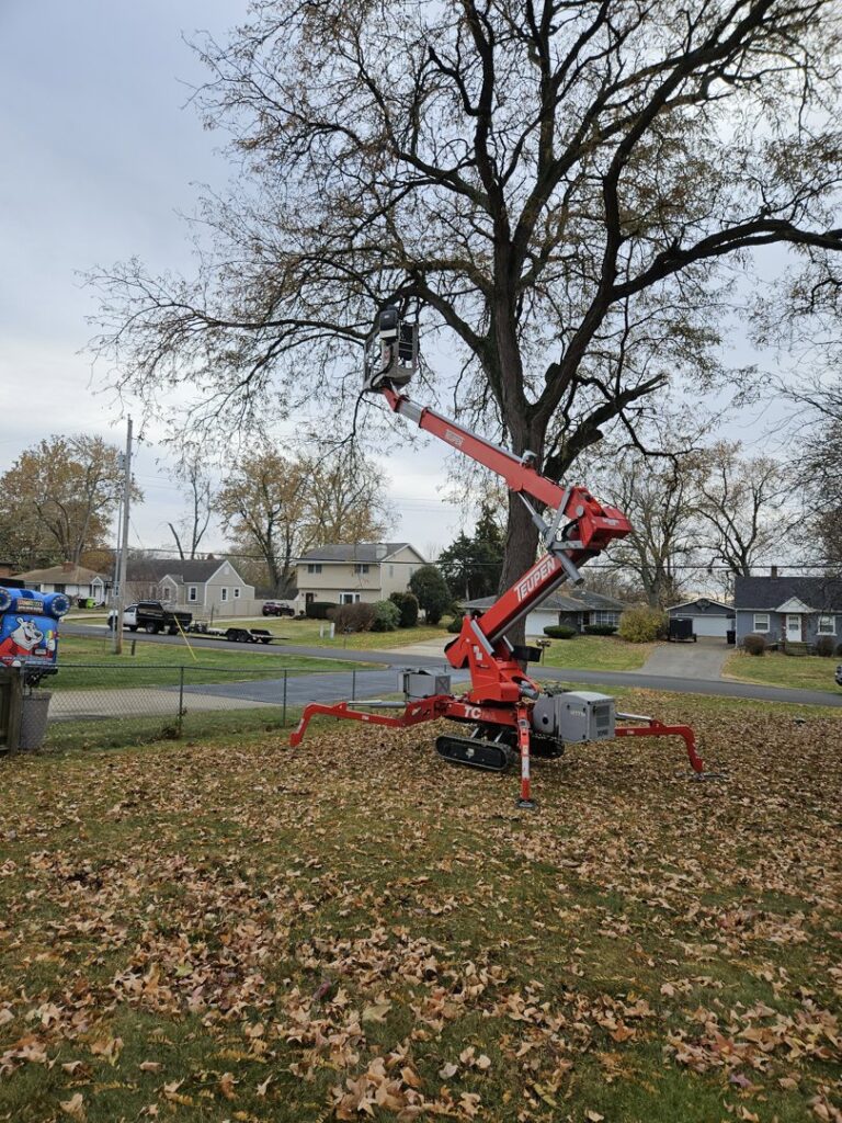 A Teupen spider lift with a worker performing tree pruning on a large tree in autumn for Aim To Tame tree service in Peoria, IL.