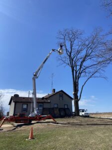 A worker using a spider lift to trim a large bare tree near a house, provided by Cutting Edge Tree Service in Racine, WI.