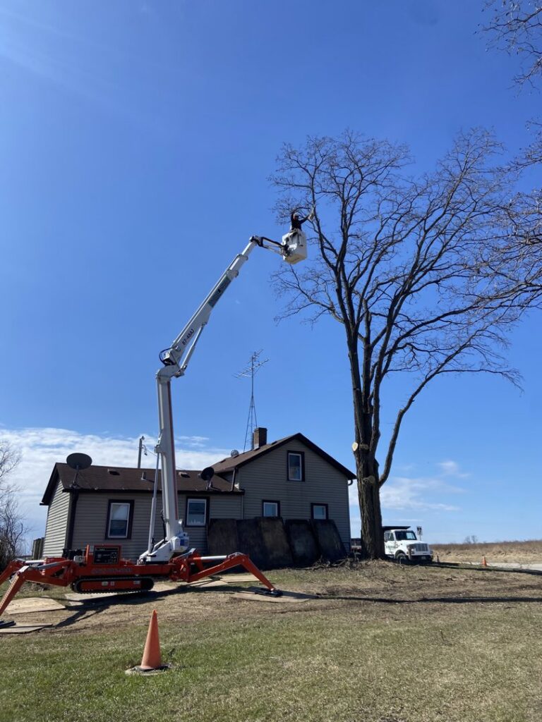 A worker using a spider lift to trim a large bare tree near a house, provided by Cutting Edge Tree Service in Racine, WI.