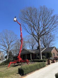 A red spider lift extended high next to a large tree, ready for trimming by Signature Tree Service in Greenville, SC.