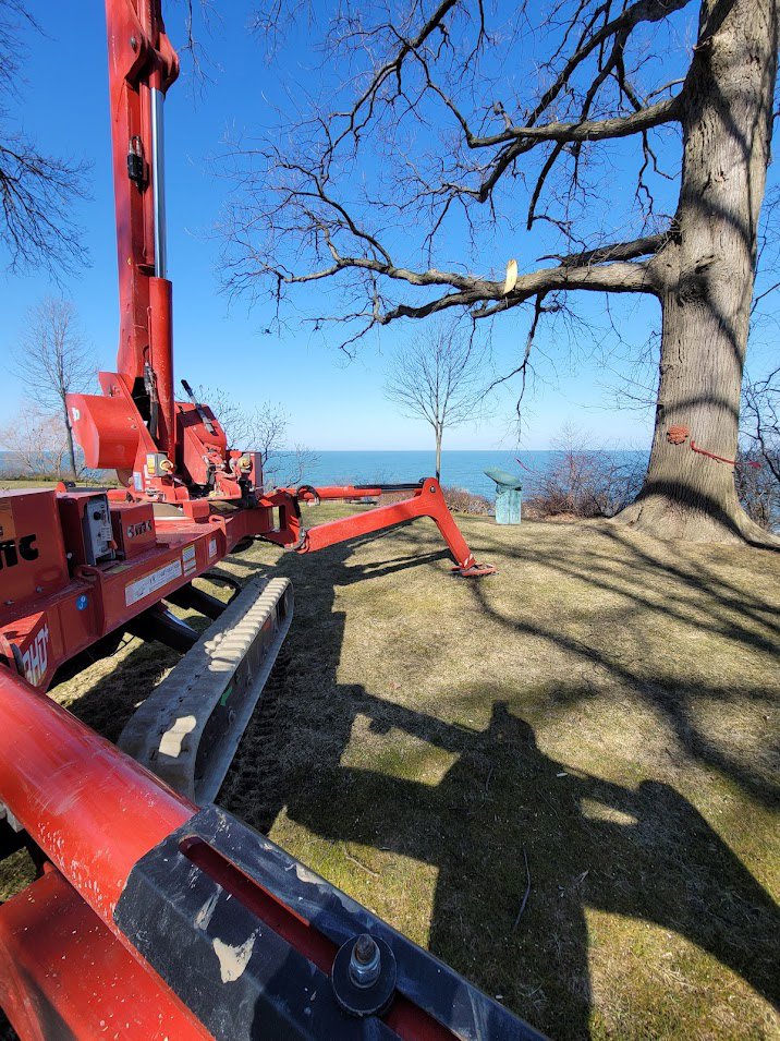 A red spider lift positioned next to a large tree by a lake, performing tree trimming for Dave's Tree & Stump Removal LLC in Parma, OH.