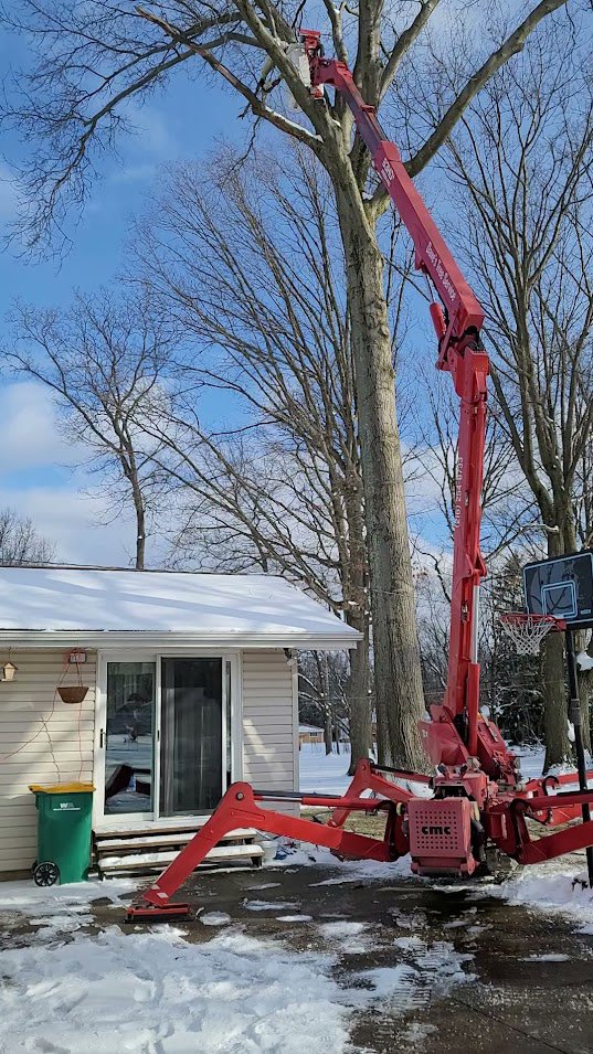 A red spider lift with its boom extended towards a tall tree in a snowy residential area by Dave's Tree & Stump Removal LLC in Parma, OH.