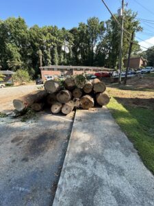 A large stack of freshly cut logs ready for removal by Sergeant tree service in Atlanta, GA
