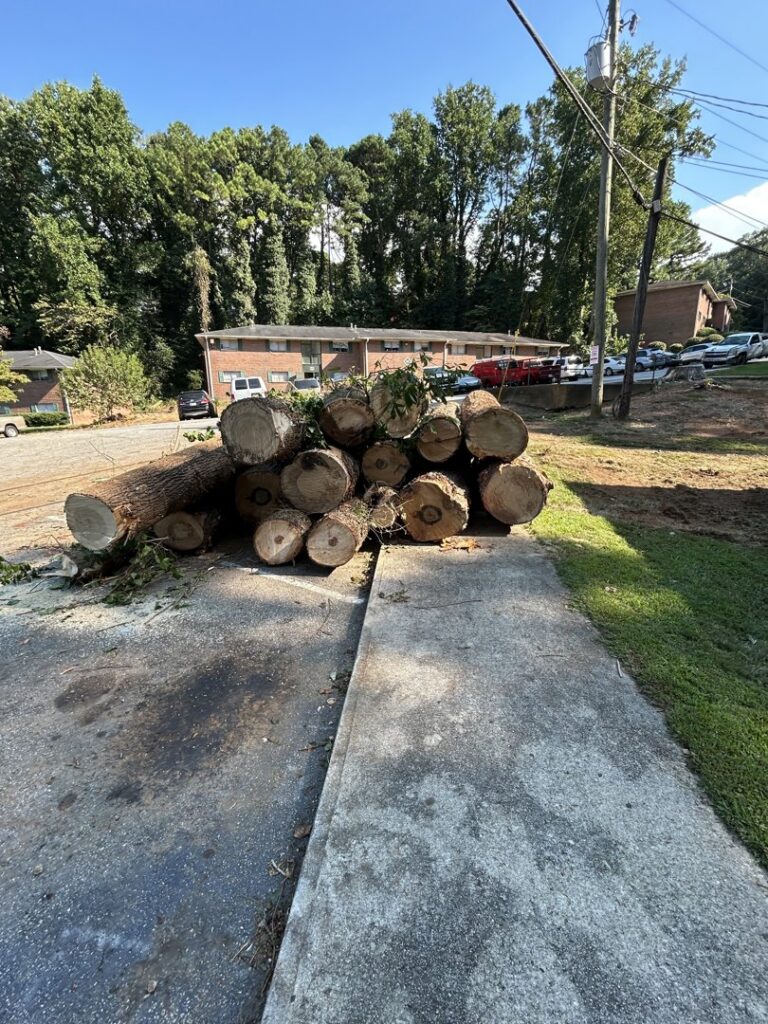 A large stack of freshly cut logs ready for removal by Sergeant tree service in Atlanta, GA