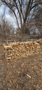 A large, neatly stacked pile of cut firewood, a common outcome of tree removal services by Jv Tree Service, LLC in Greeley, CO.